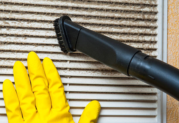 Best Ventilation Cleaning Services  in Loogootee, IN