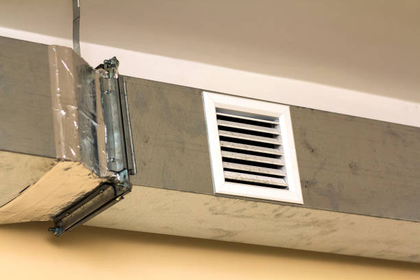 Best Dryer Vent Cleaning Services  in Loogootee, IN